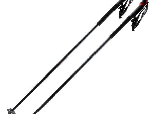 SKI TRAB EVO 3.0 POLES