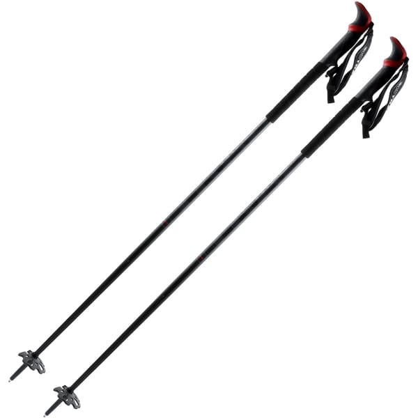 SKI TRAB EVO 3.0 POLES