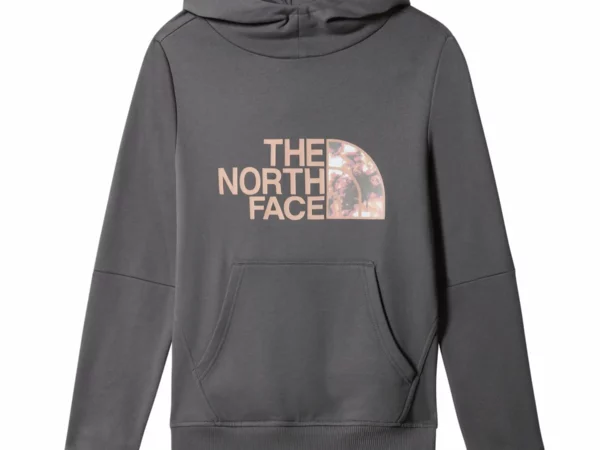 Sweatshirt à capuche fille The North Face Drew Peak P/o 2.0