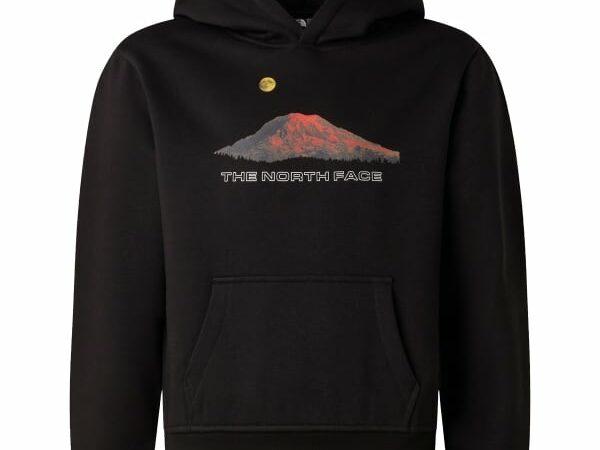 THE NORTH FACE B MOUNTAIN NIGHT RELAXED HOODIE