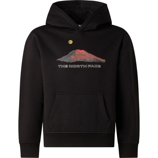 THE NORTH FACE B MOUNTAIN NIGHT RELAXED HOODIE