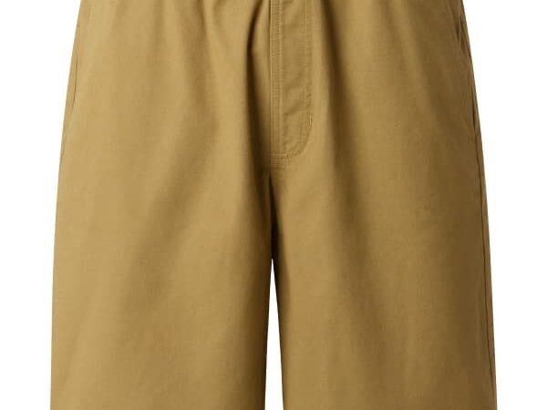 THE NORTH FACE BAGGY BETA SHORTS