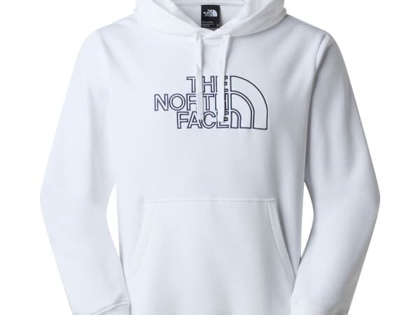THE NORTH FACE DREW PEAK LIGHT REGULAR HOODIE