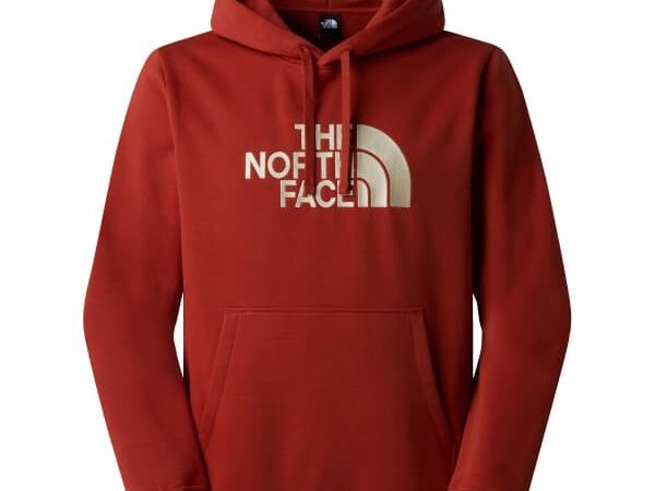THE NORTH FACE DREW PEAK REGULAR HOODIE