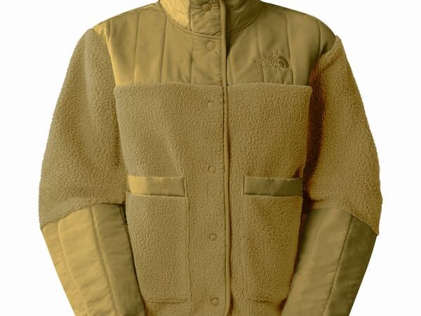 THE NORTH FACE W CRAGMONT FLEECE JACKET