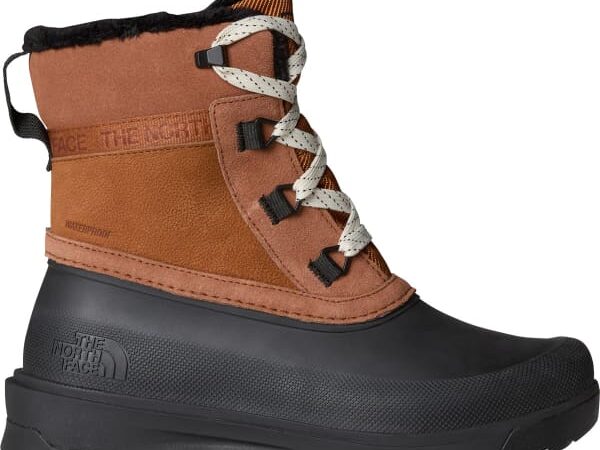THE NORTH FACE W SHELLISTA V SHORTY WP