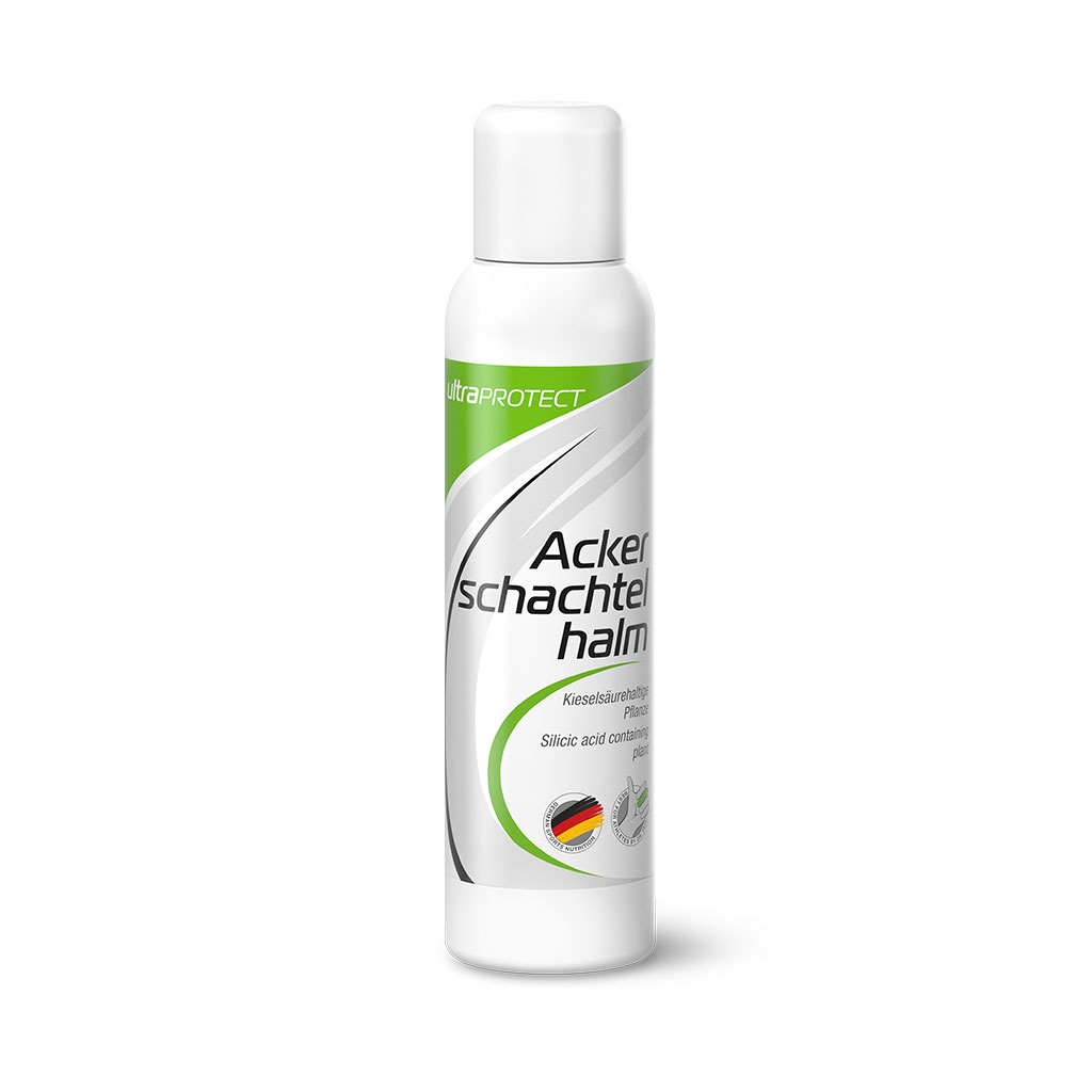 Ackerschachtelhalm Extrakt (100ml)