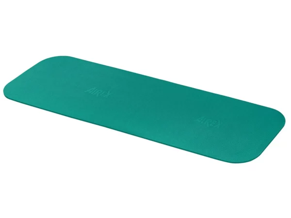 Tapis AIREX Fitline 200