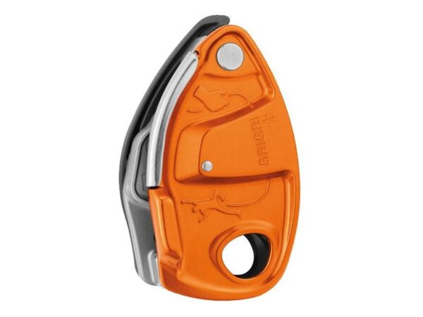 Assureur Grigri + Gris/violet