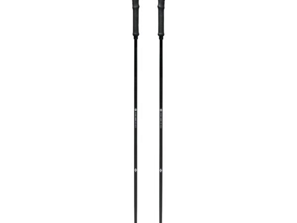 Bâtons Distance Carbon Z Fkt
