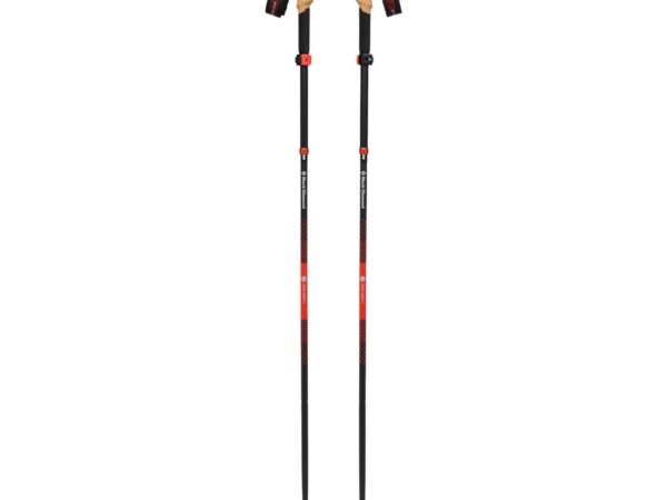 Bâtons Pursuit Carbon Flz
