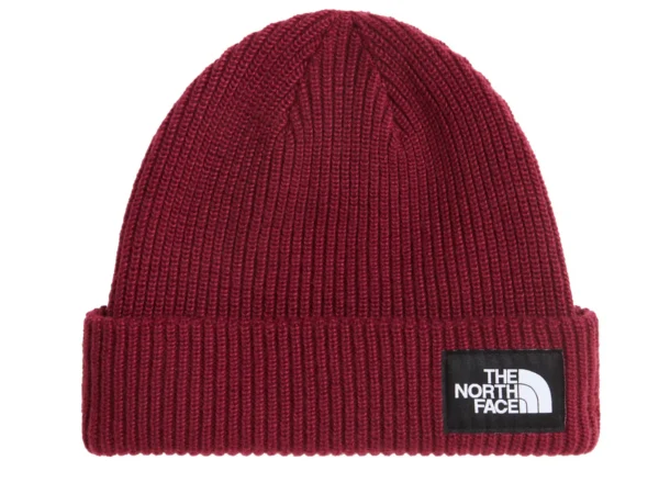Bonnet The North Face Salty Lined