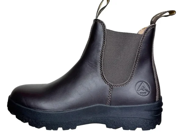 Bottines Avignon Darwin