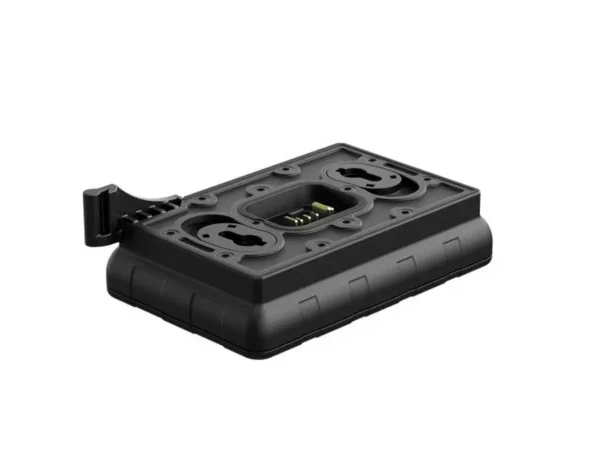Chargeur de batterie Pulsard Ips
