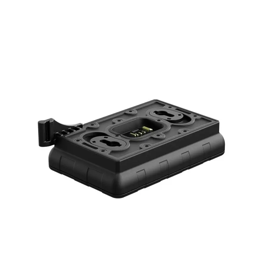 Chargeur de batterie Pulsard Ips
