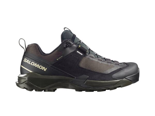 Chaussures basses Salomon X Ultra Alpine Gore-tex - Homme