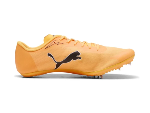 Chaussures d'athlétisme Puma