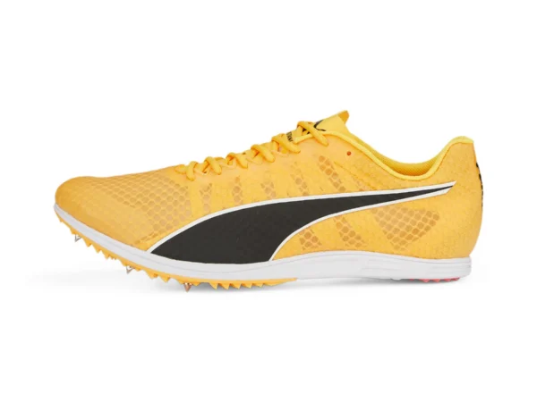 Chaussures d'athlétisme Puma Evospeed Distance 11