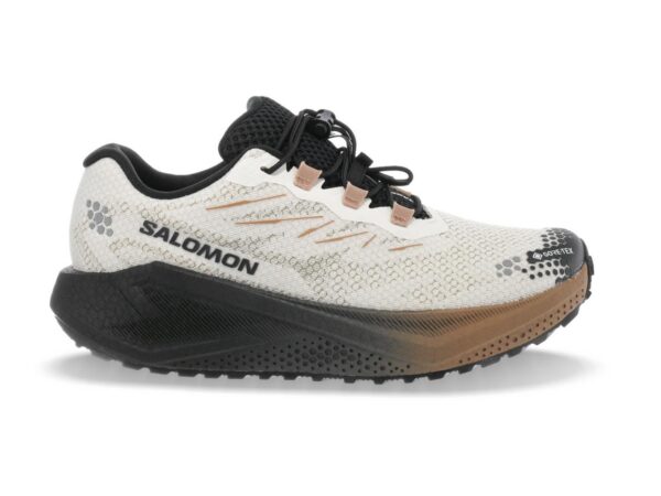 Chaussures de running Salomon Aero Blaze 4 Grvl Gore-tex - Femme