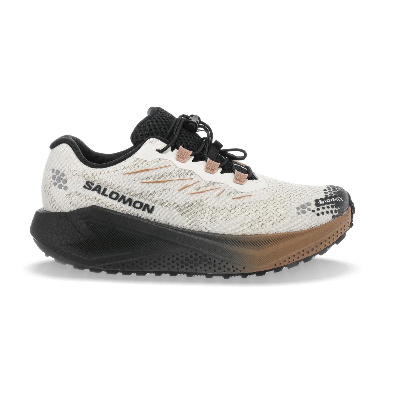 Chaussures de running Salomon Aero Blaze 4 Grvl Gore-tex - Femme