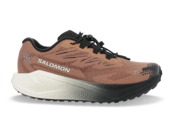 Chaussures de running Salomon Aero Blaze 4 Grvl - Homme