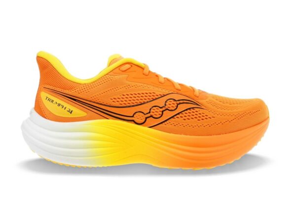 Chaussures de running Saucony Triumph 24 - Homme