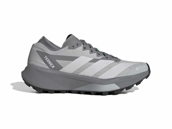 Chaussures de trail femme adidas Terrex Agravic GTX 2