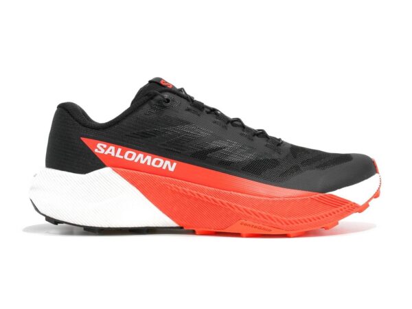 Chaussures de trail Salomon Pulsar - Homme
