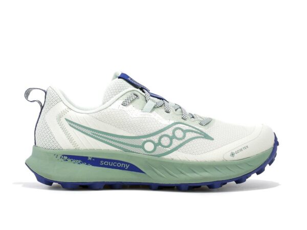 Chaussures de trail Saucony Peregrine 15 Gtx - Femme