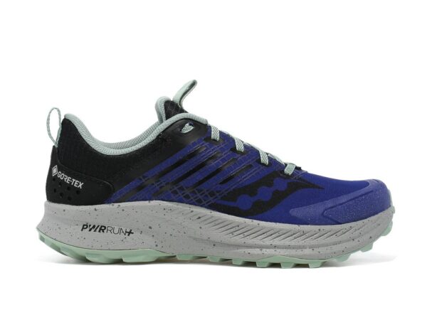 Chaussures de trail Saucony Ride Tr2 Gtx - Homme