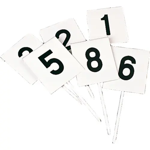 Fiches de marquage rectangulaires Sporti (x12)