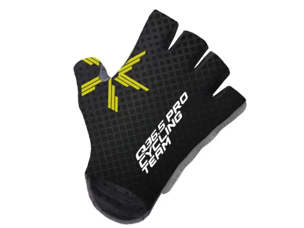 Gants Q36.5 Pro Team