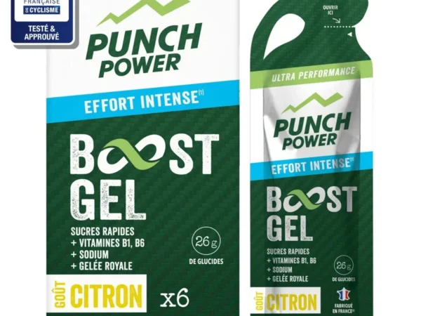 Gel énergétique Punch Power Citron
