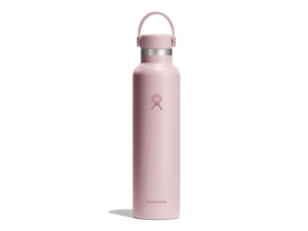 Gourde 24 Oz (710 Ml) Standard Flex Cap Trillium