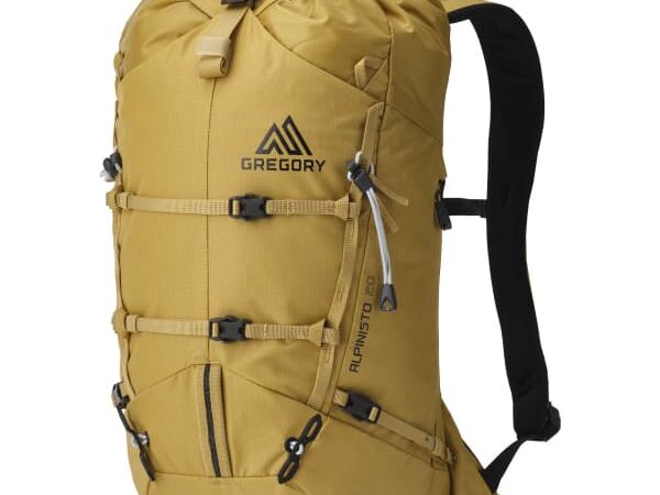 GREGORY ALPINISTO 20