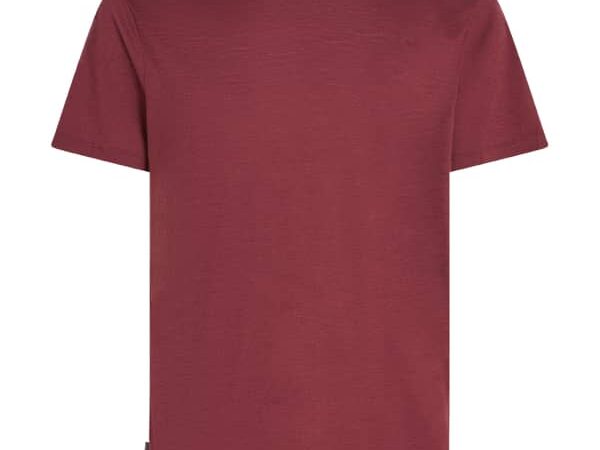 ICEBREAKER M 150 TECH LITE III SS TEE
