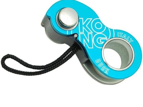 KONG DUCK