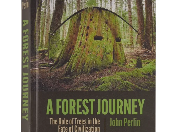 Livre Patagonia A Forest Journey
