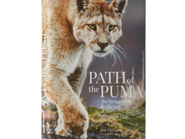 Livre Patagonia Path of the Puma