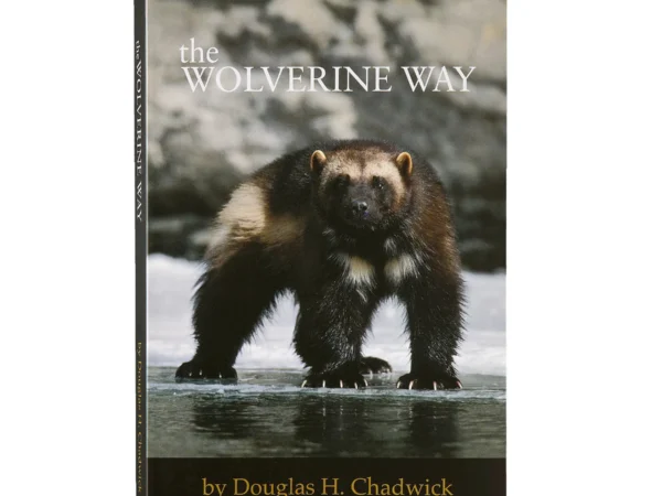 Livre Patagonia The Wolverine Way