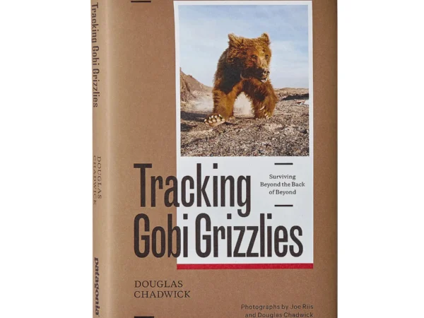Livre Patagonia Tracking Gobi Grizzlies