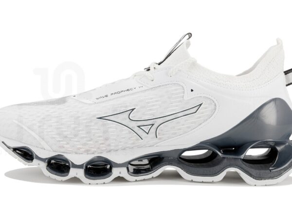 Mizuno Wave Prophecy 14
