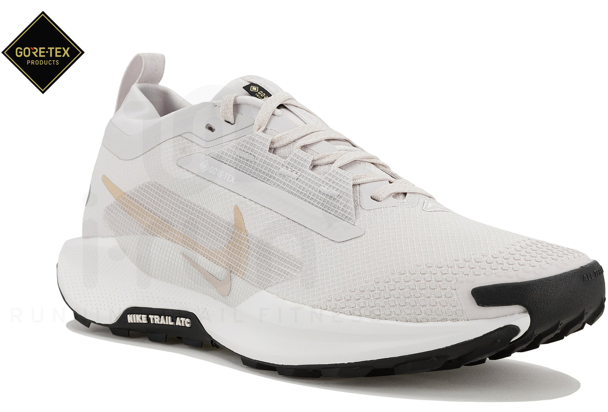 Nike Pegasus Trail 5 Gore-Tex Chaussures homme
