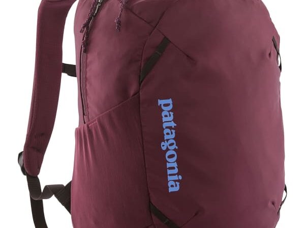 PATAGONIA ATOM DAY PACK 24L