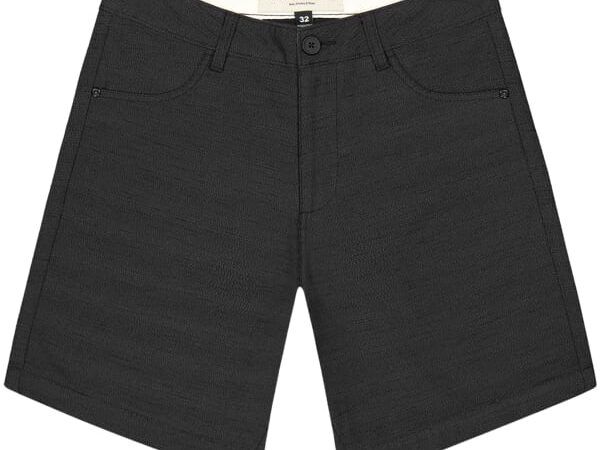 PICTURE ALDOS SHORTS