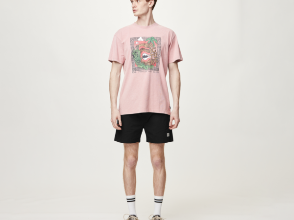 Picture Short - Short homme DAVERSON - Homme