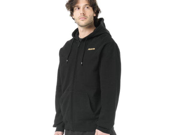 Picture Sweat - FORESKA ZIP HOODIE - Homme