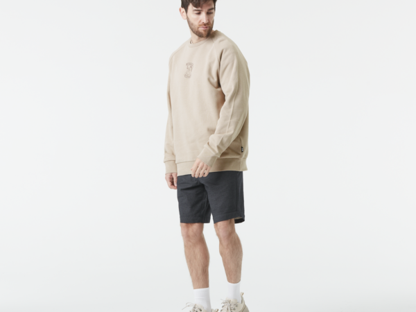 Picture Sweat - Sweat homme TERRA CREW - Homme