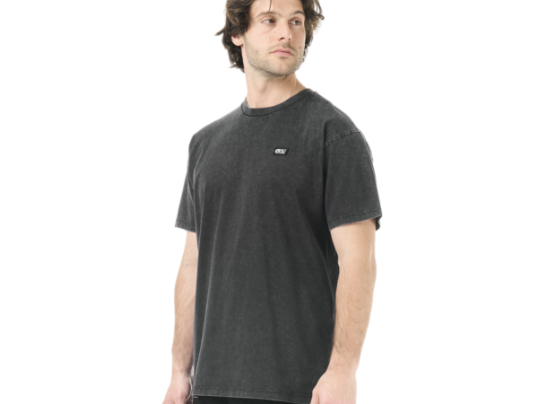 Picture T-shirt - T-shirt homme ALLIN - Homme