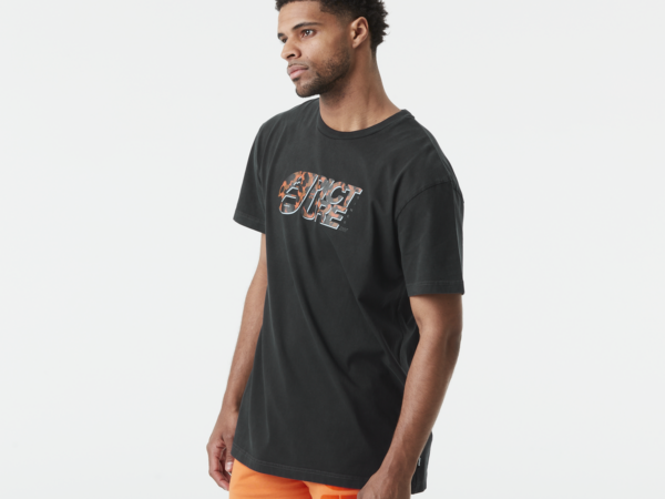 Picture T-shirt - T-shirt homme BASEMENT LEO - Homme